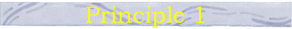 Principle 1